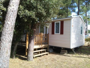 Mobile-Home 4 personnes